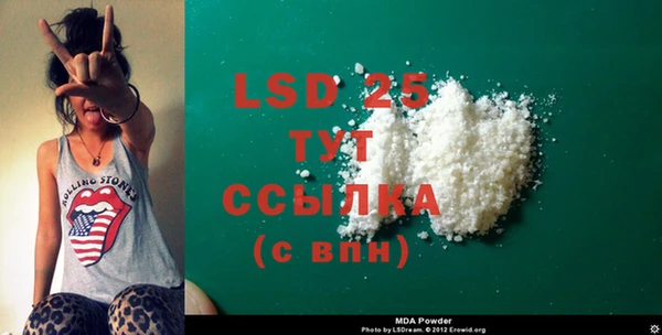 spice Ельня