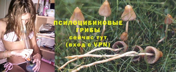 spice Ельня