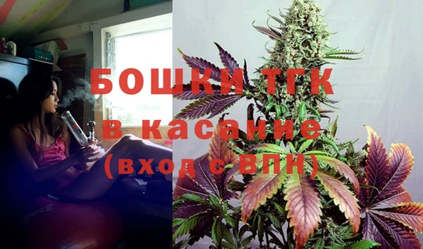 spice Ельня