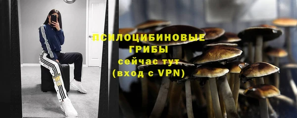 apvp Елабуга