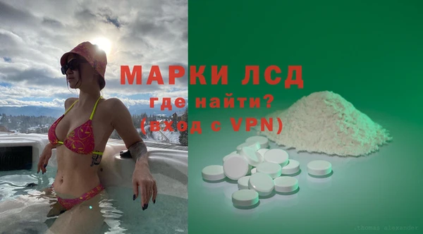spice Ельня