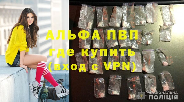 spice Ельня