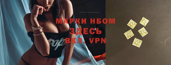 spice Ельня