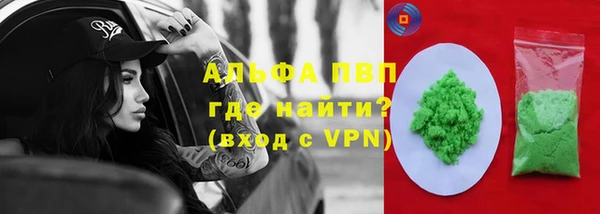 spice Ельня