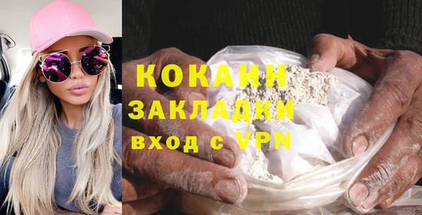 spice Ельня