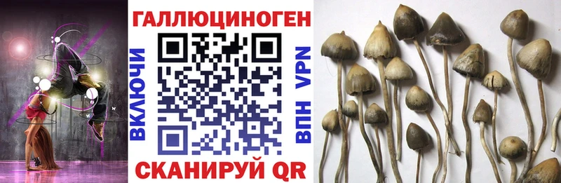 мега ТОР  Домодедово  Псилоцибиновые грибы прущие грибы  как найти наркотики 