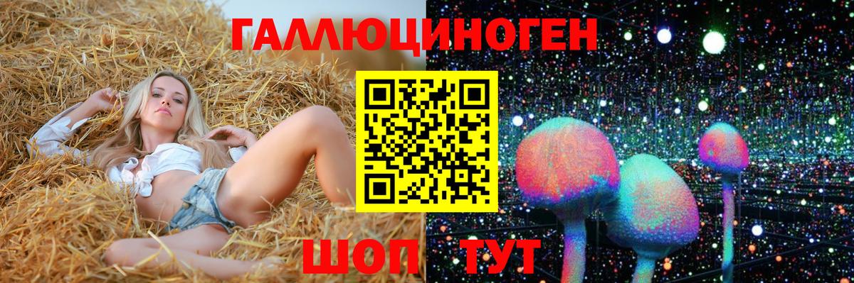 Галлюциногенные грибы Psilocybe Домодедово