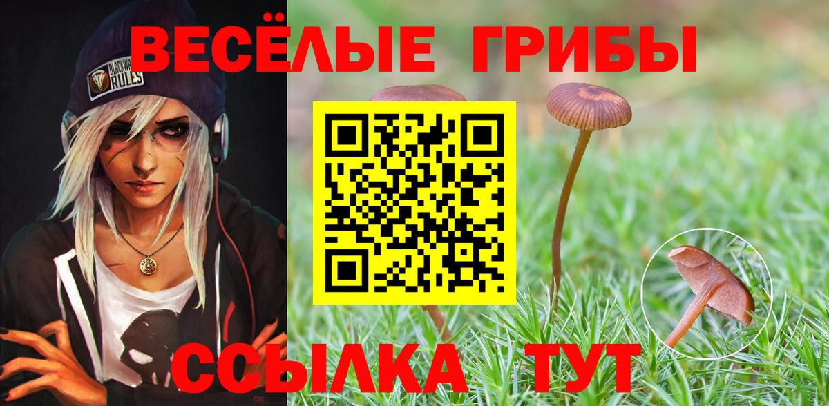 Псилоцибиновые грибы Magic Shrooms  Вход с VPN  Домодедово  Псилоцибиновые грибы прущие грибы 
